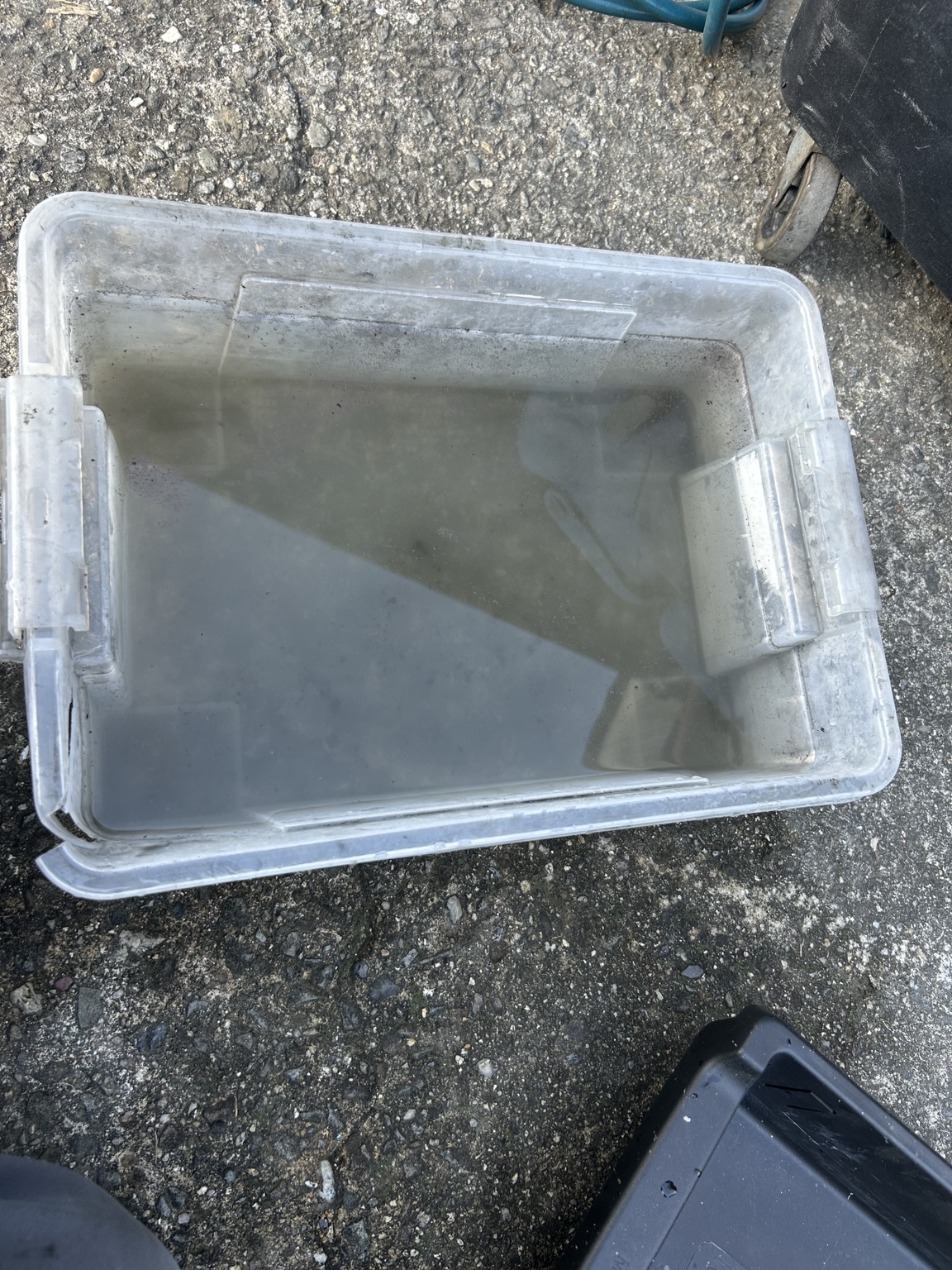 Dirty water collected from the car A/C cleaning