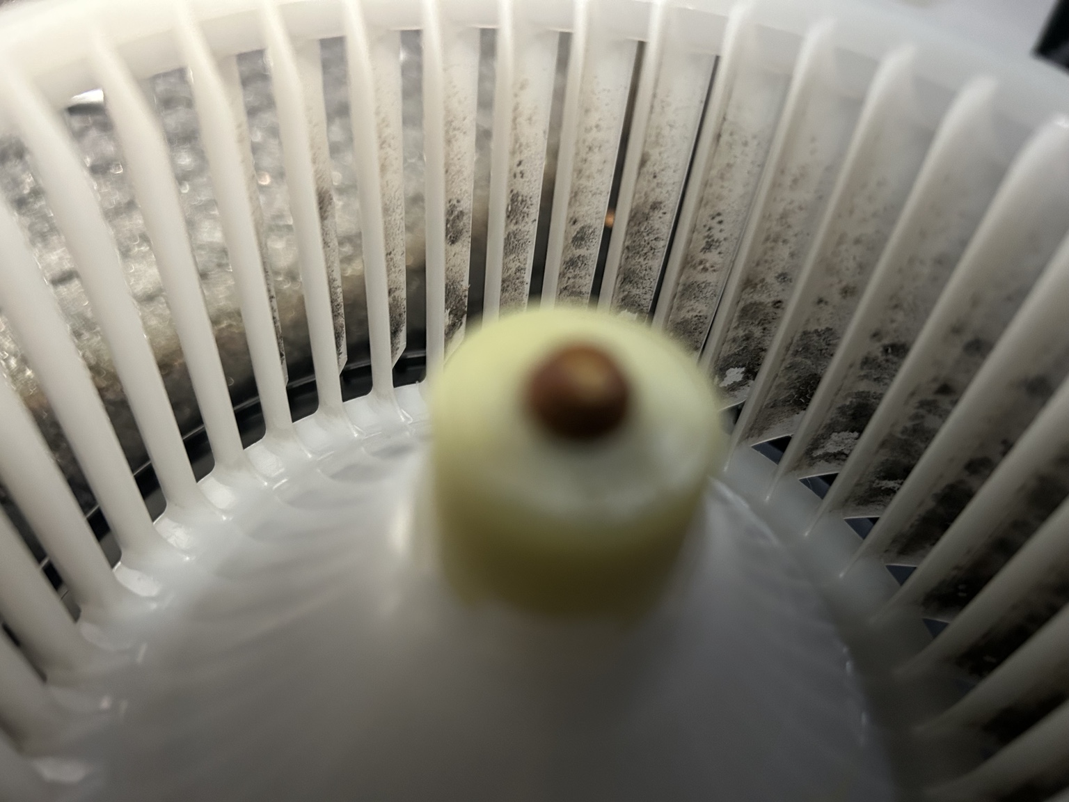 Toyota Esquire blower fan during washing